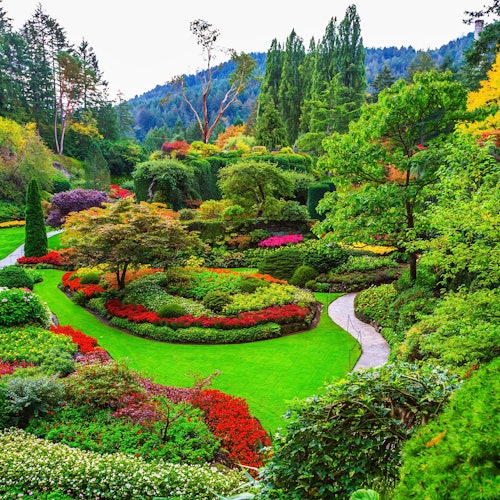 花开时节,布查特花园静候您的到来