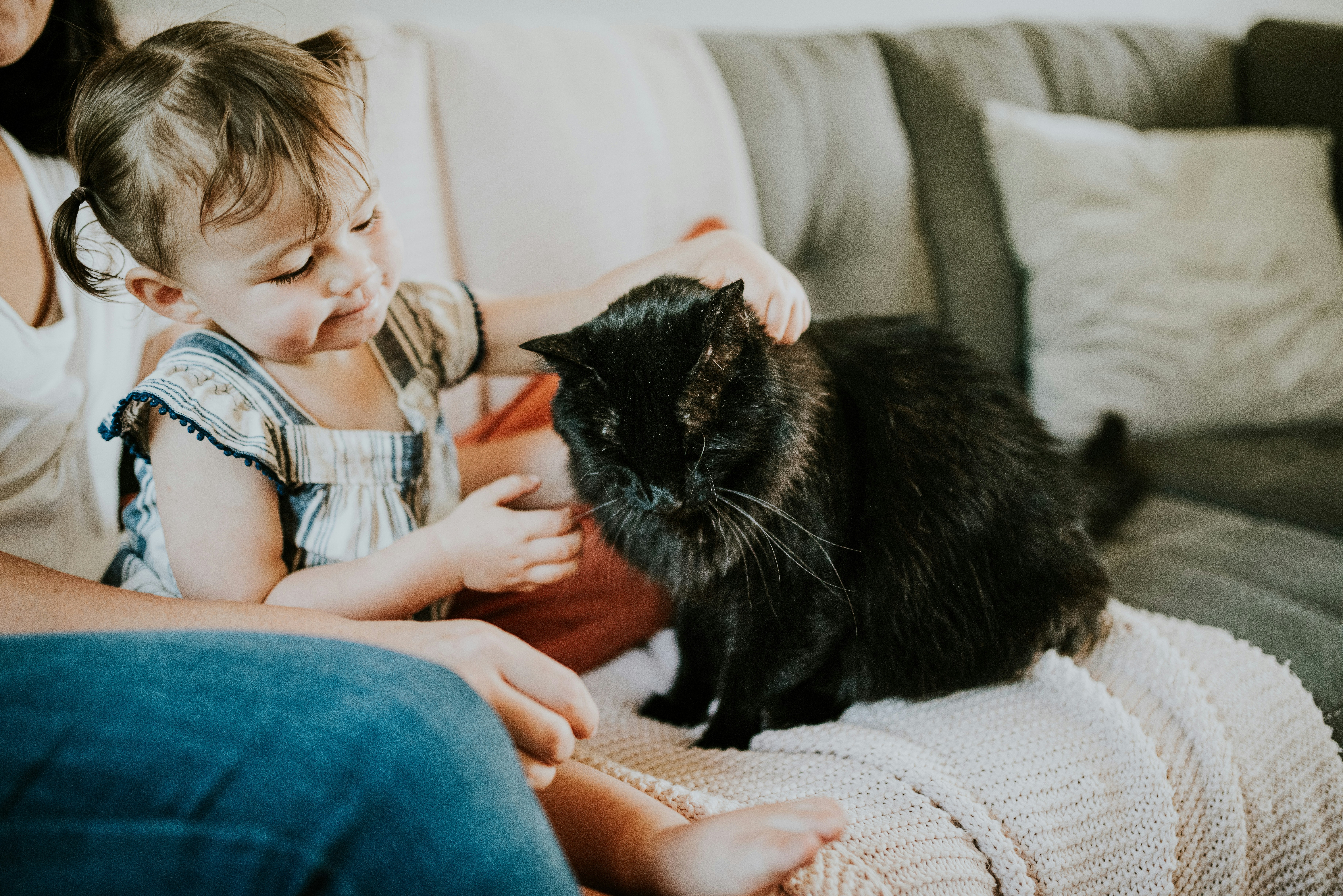 Picture of a young girl petting a black cat on the couch