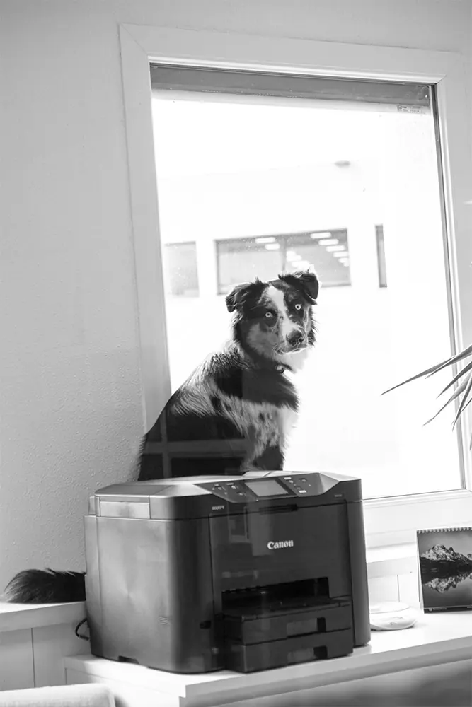 Image de la mascotte du bureau Outdoor Perspectives