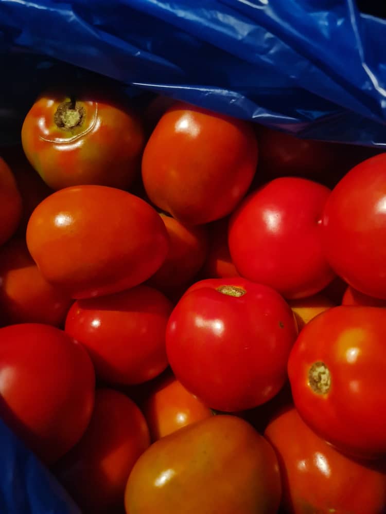 Dive into the world of tomato cultivation with Teximass. Our team of experts will guide you through the process, from seed selection to harvesting, ensuring a bountiful crop