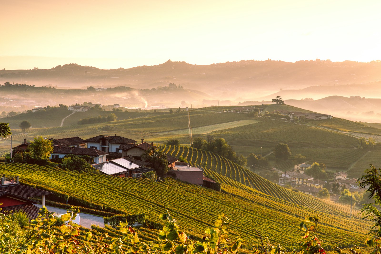 Morning mist over hillside vineyards and farmhouses