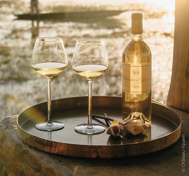 Château d’Yquem : l’or liquide du Sauternais