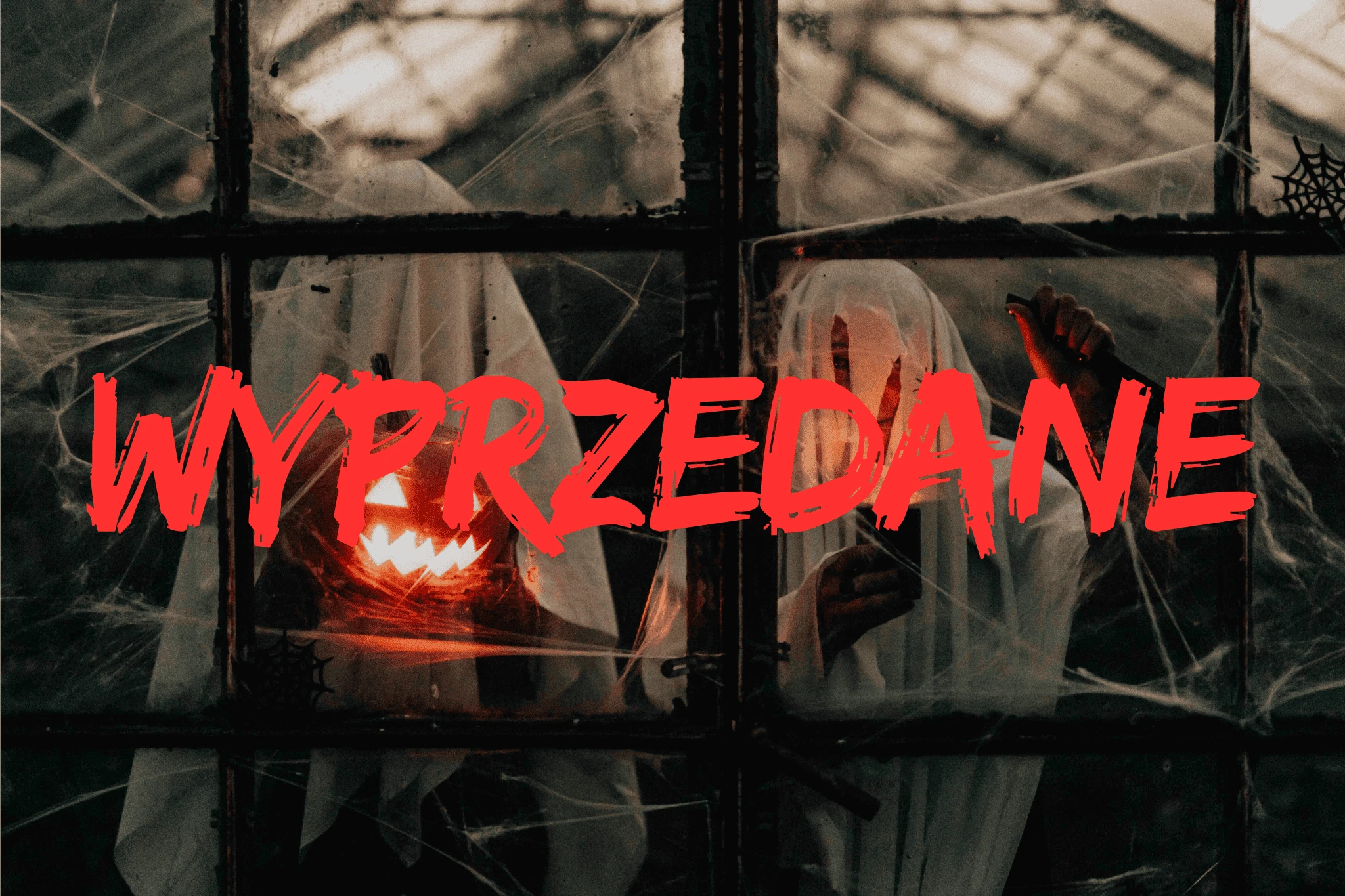 Sala na Halloween Kielce – klimatyczna przestrzeń do wynajęcia na imprezy tematyczne, urodziny halloweenowe i spotkania firmowe. Realistyczne dekoracje, światło, gotowa scenografia. Wynajem sali na Halloween dla dzieci i dorosłych Kielce, sala imprezowa z klimatem, miejsce na przyjęcie halloweenowe w centrum Kielc, gotowa sala z dekoracjami.