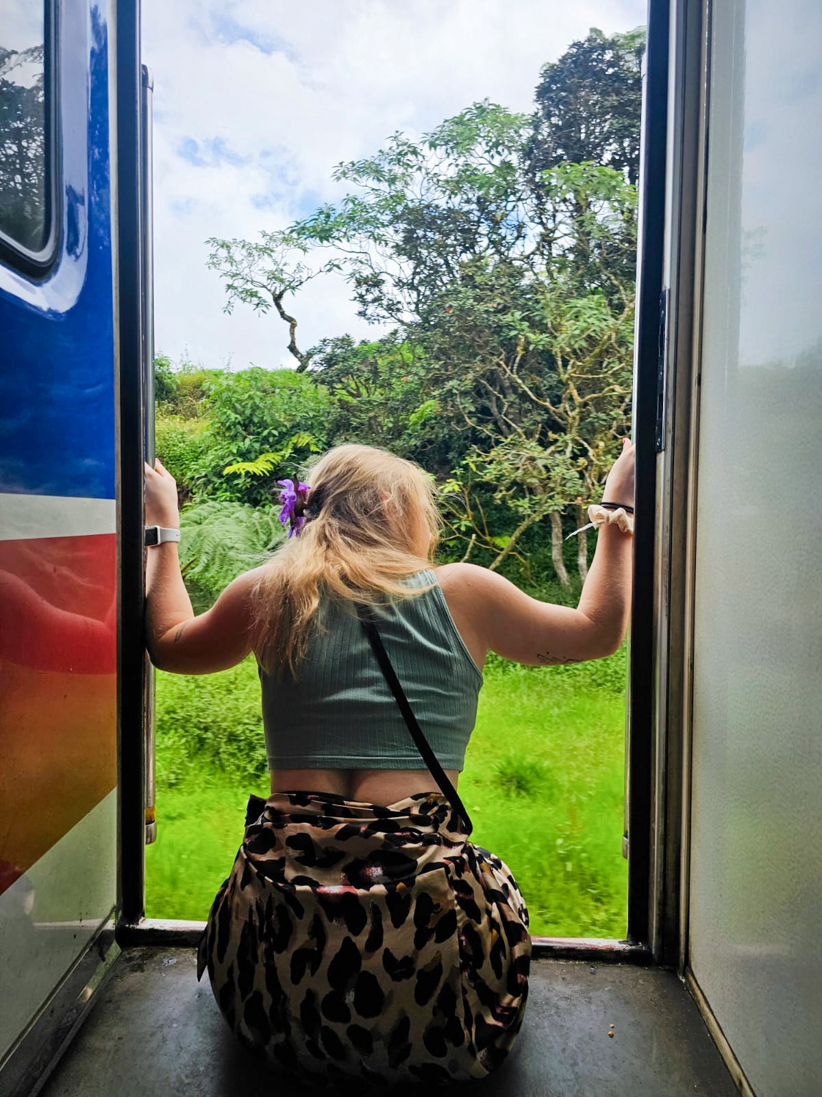 The image featured at the top of the about us page #1