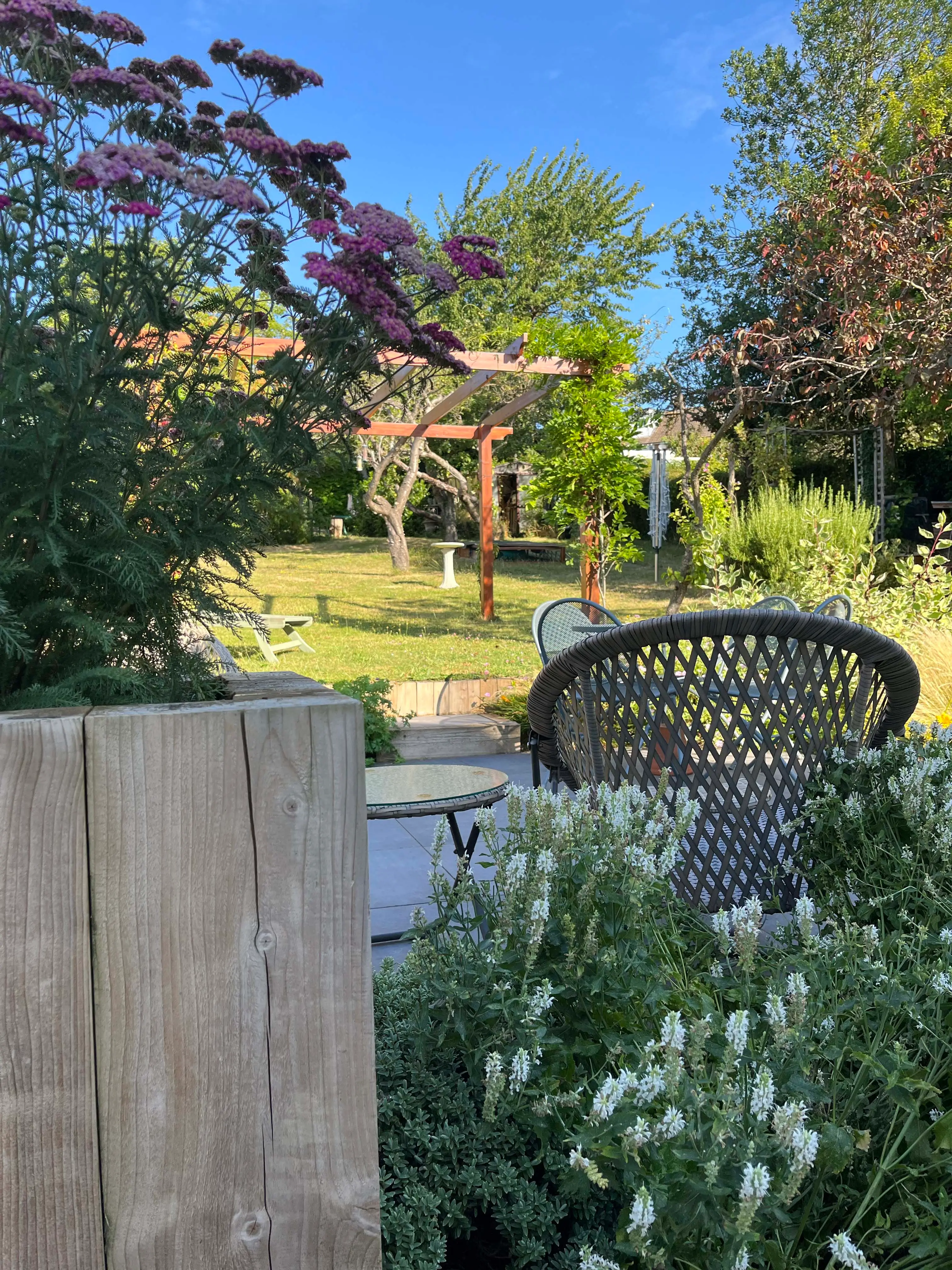 A sunny garden scene featuring greenery, flowers, and a wooden fence in the foreground with a vibrant tree backdrop.