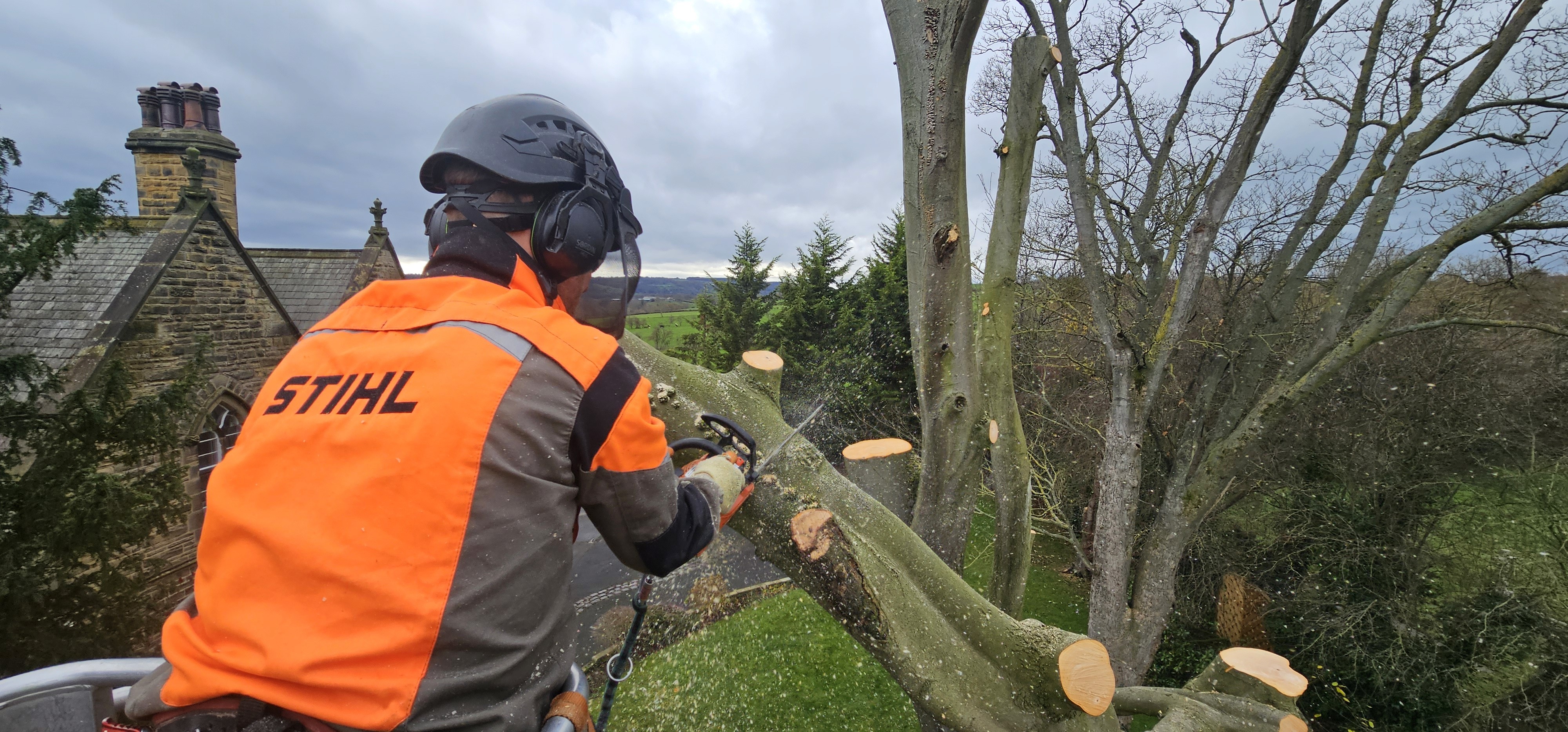 a man cutting a tree with a chainsaw