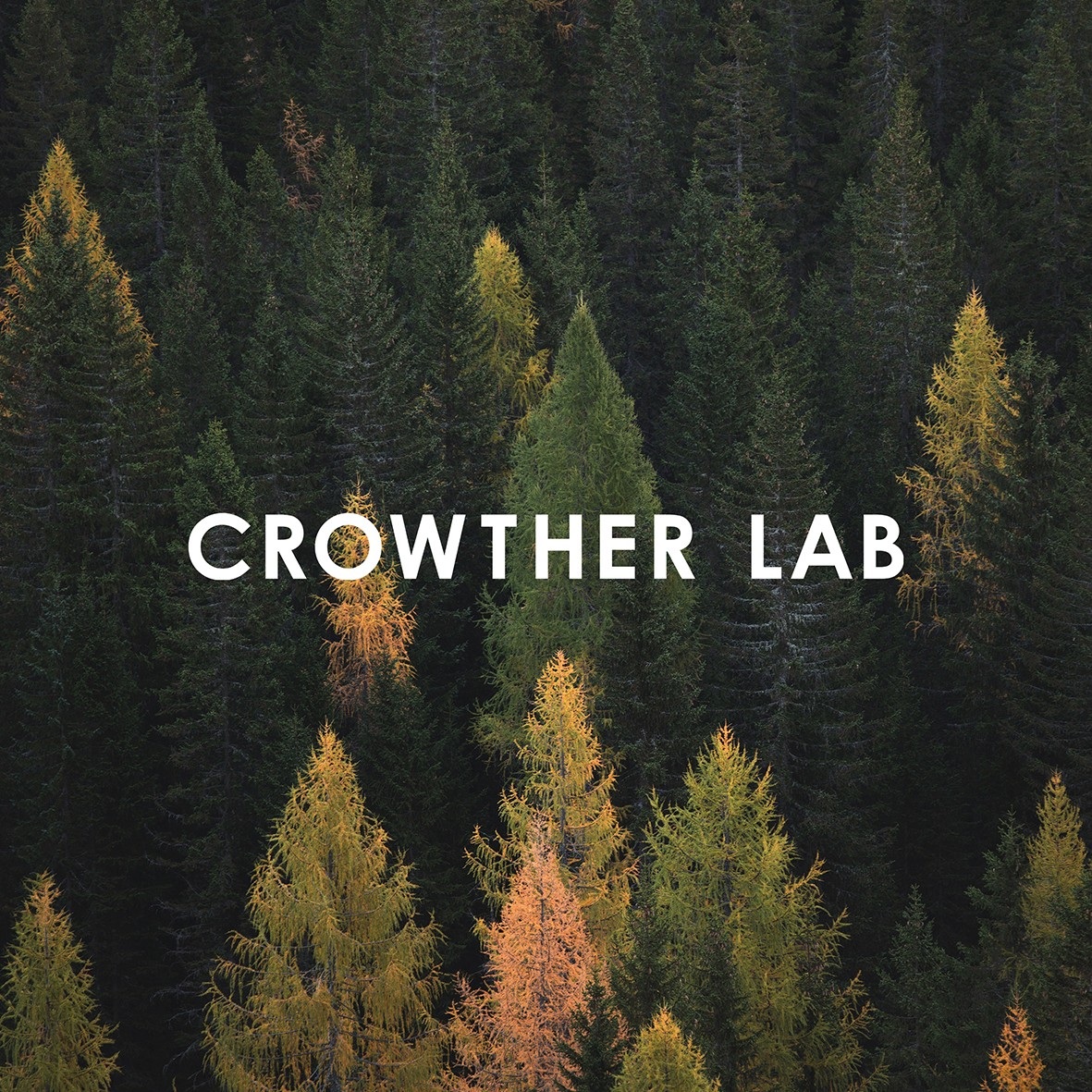 Crowtherlab CI