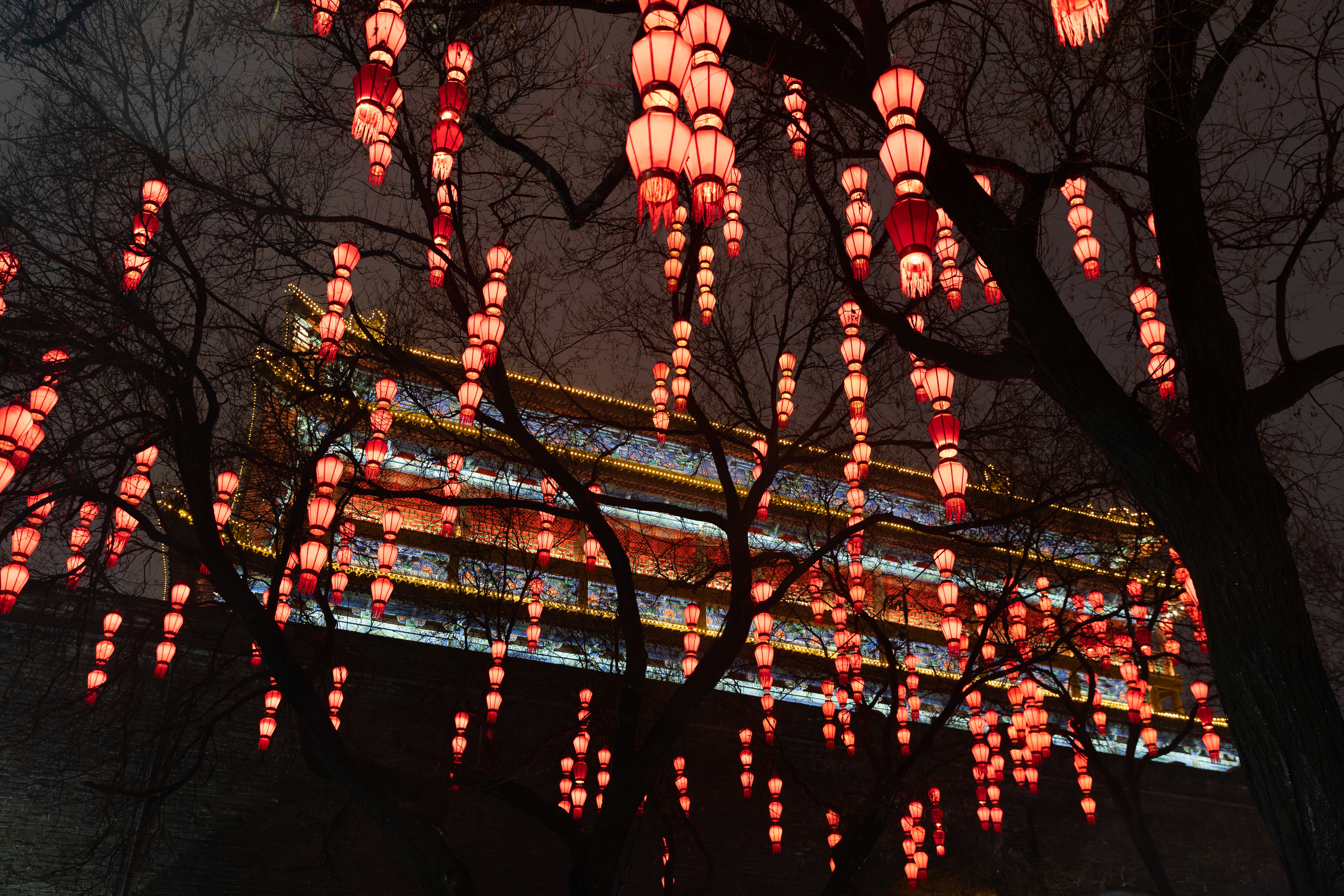 Best Asian street food in Auckland.