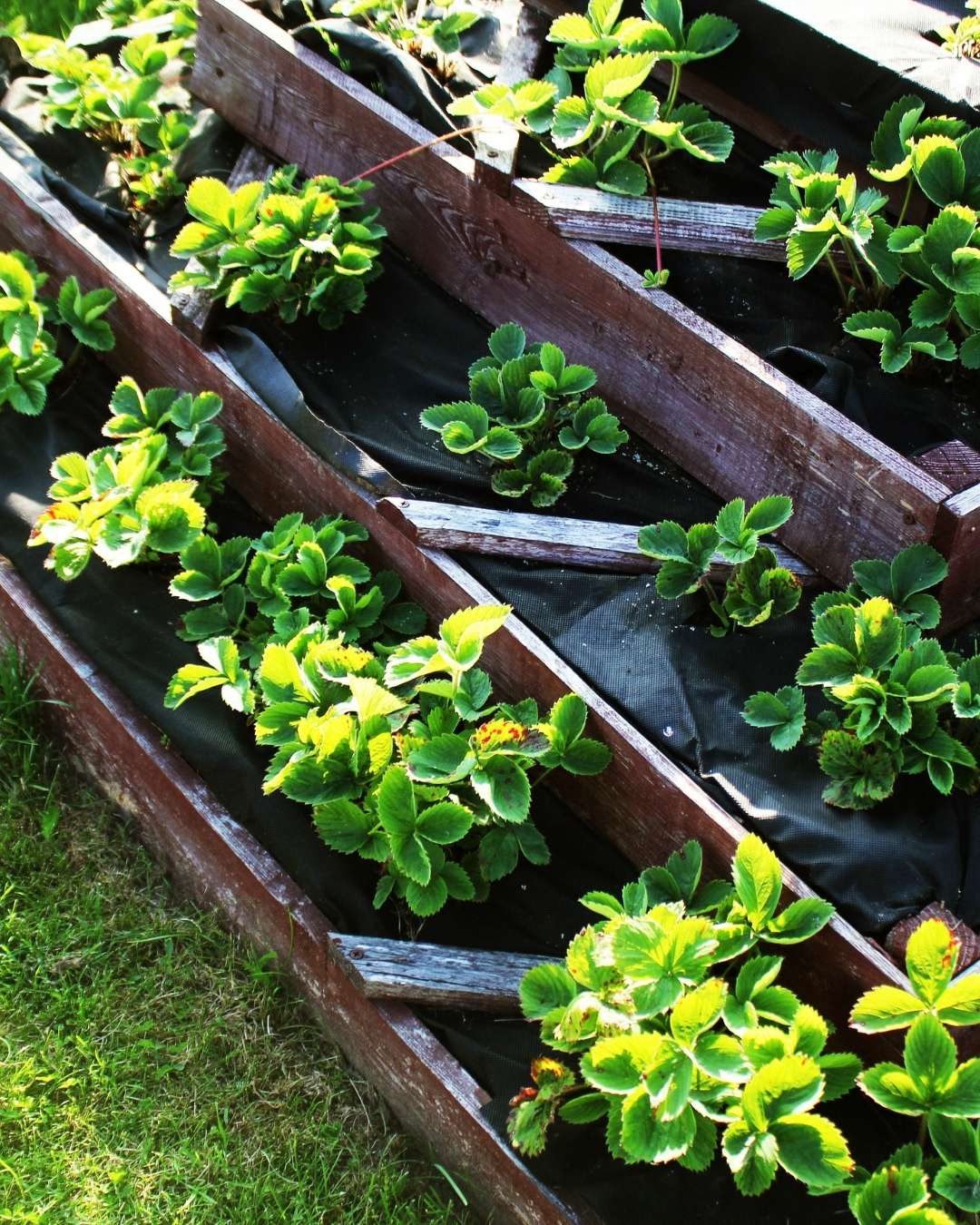 How Can We Help With Residential Garden Bed Installation