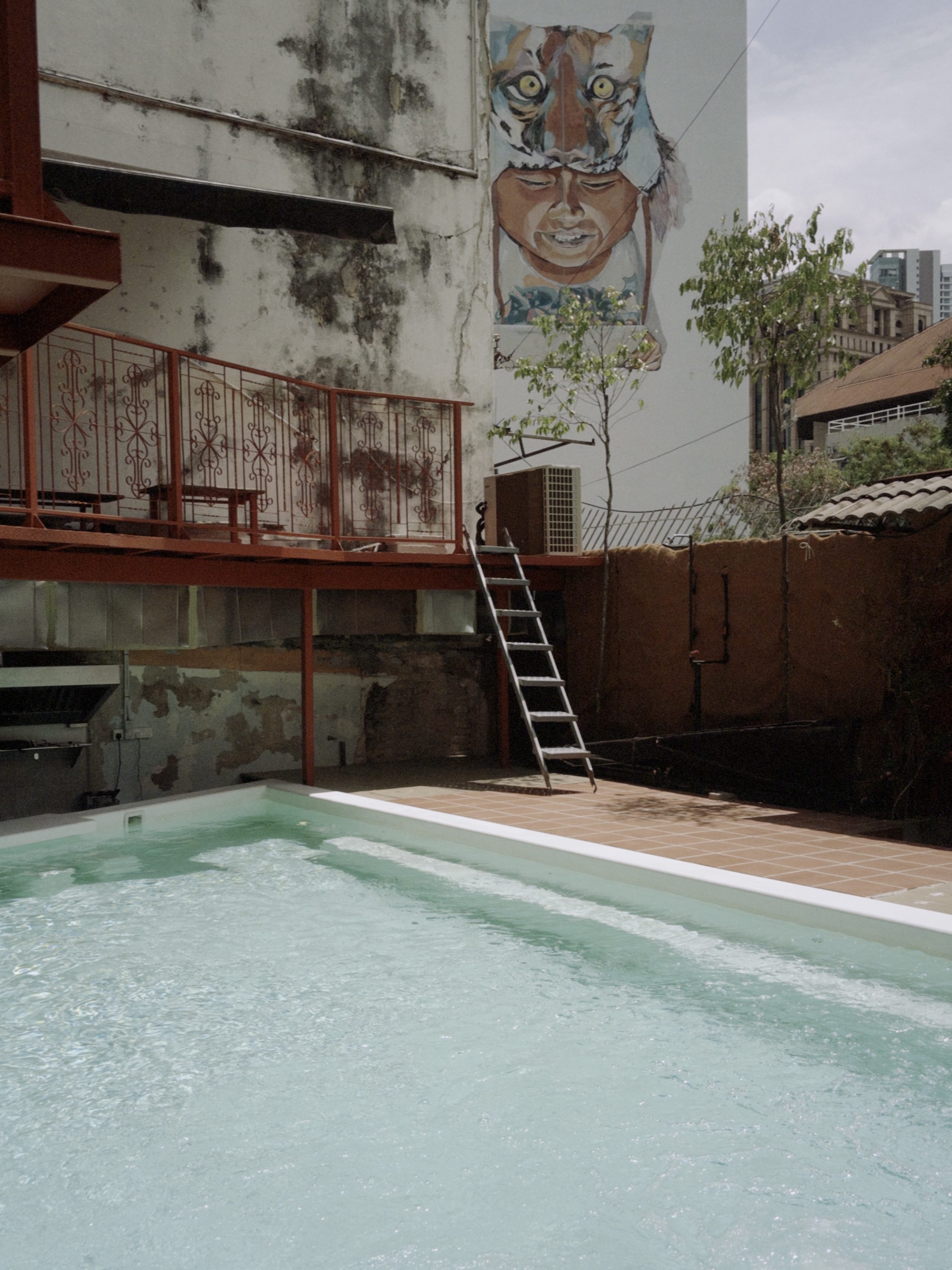 A swimming pool surrounded by a weathered wall featuring a vibrant mural of a tiger and a face, with a ladder leaning against a red railing in the background.