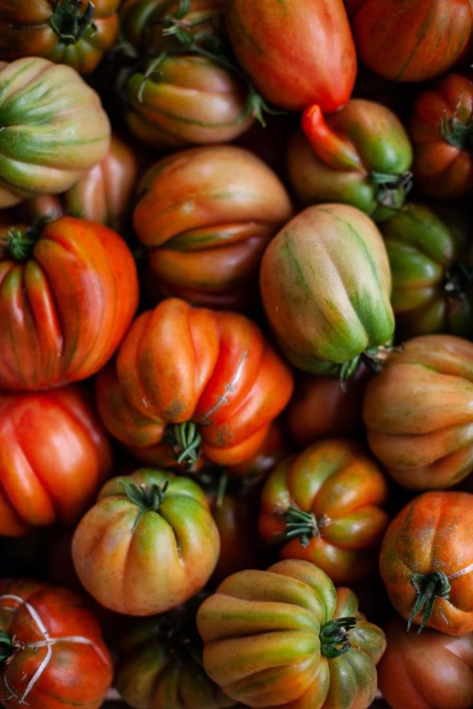 Pomodori insalatari