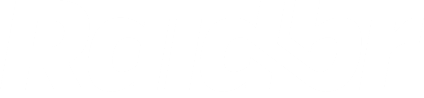 Logo- Raidbr Segurança Digital