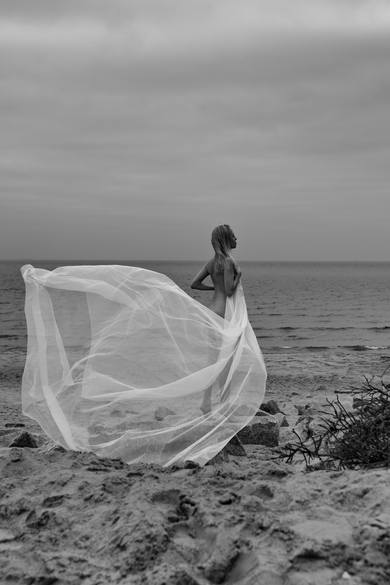 Female nude on the beach, tulle in the wind, black and white - Stone and Skin - Agnieszka Czyzkowska Photography