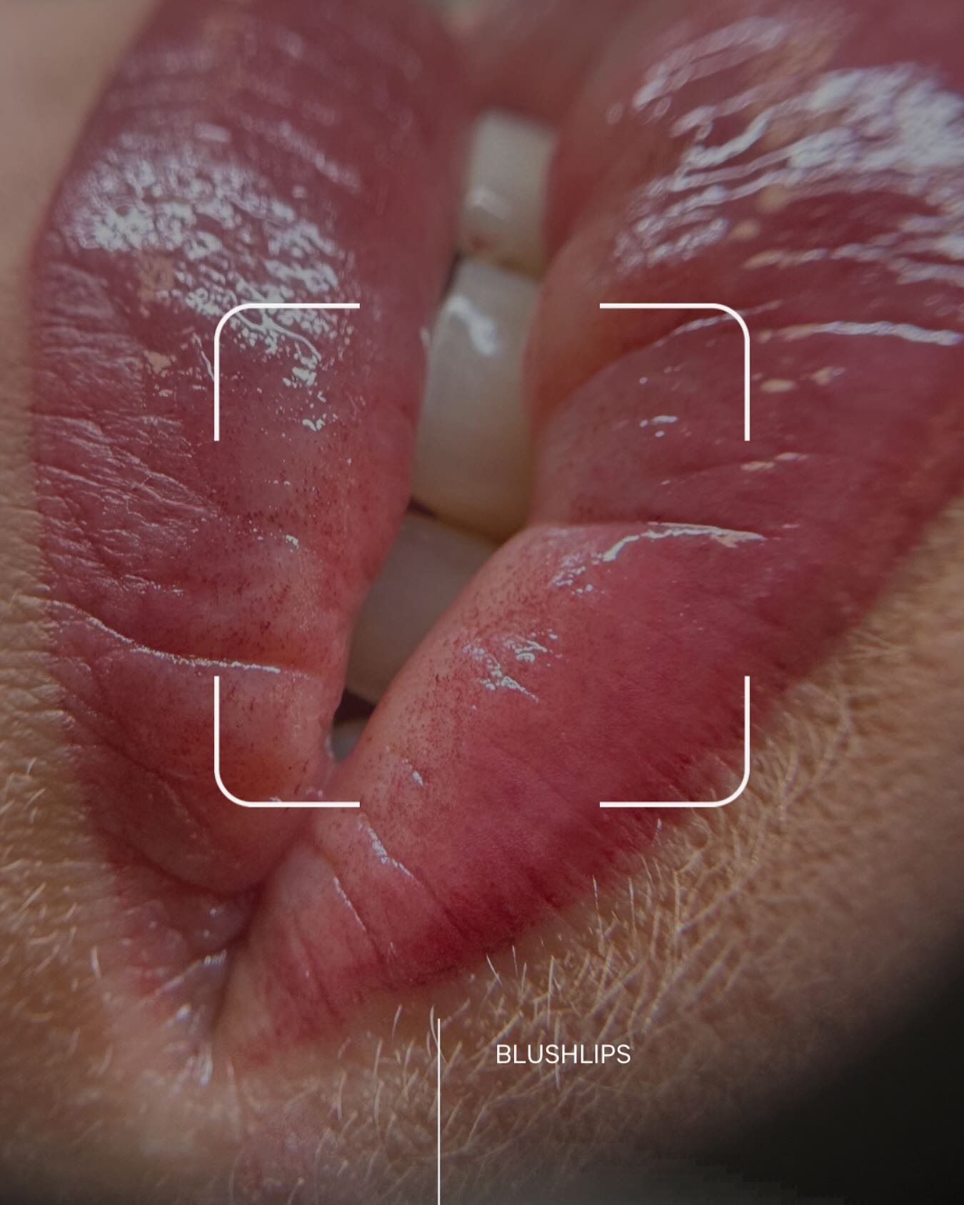 a group of metal leaves sitting on top of a white surface