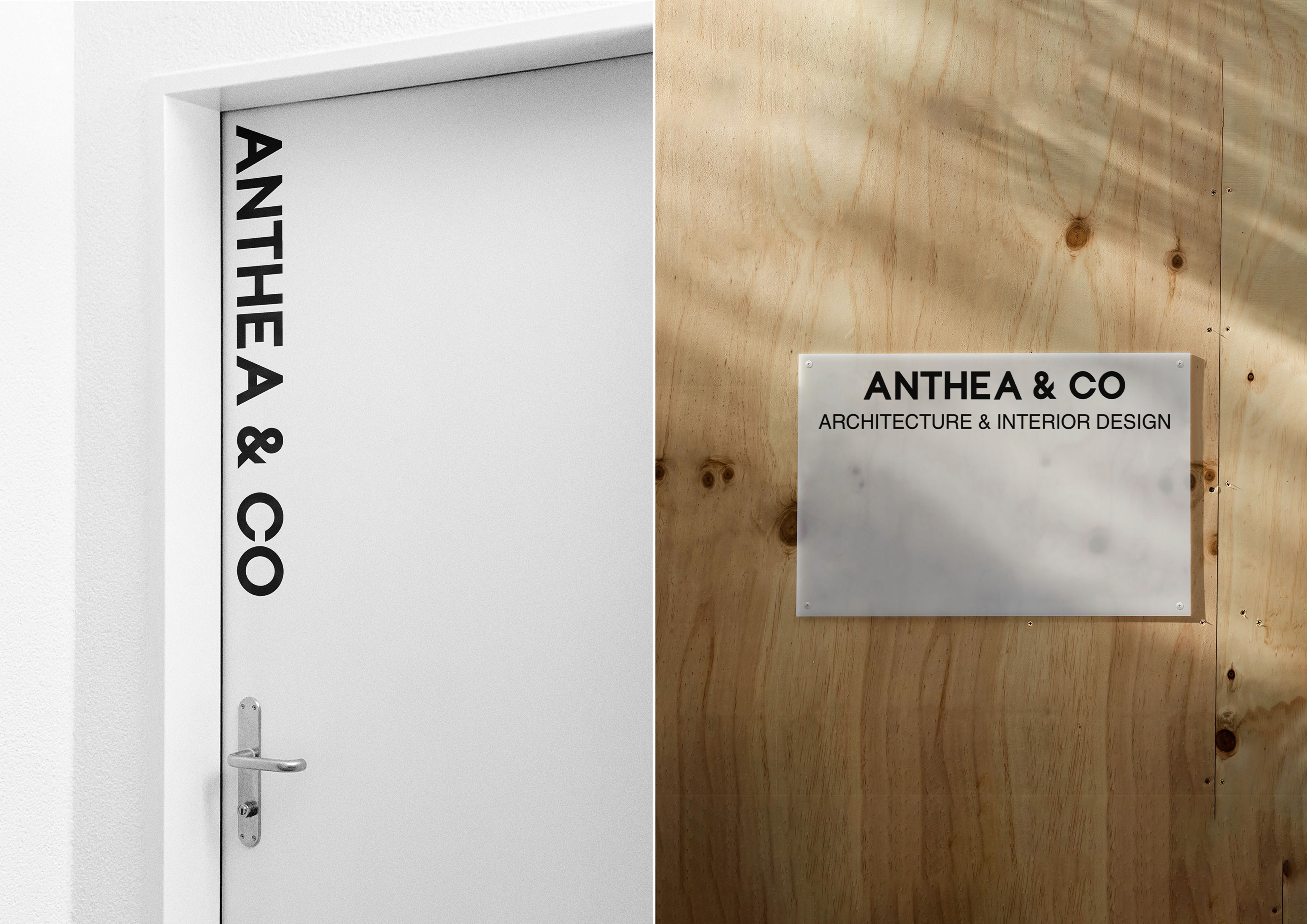 Anthea & Co Main Image 11