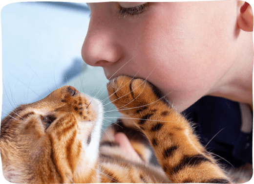 cat softing touching boy's face with its paw