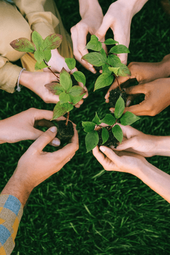 Hands of diverse people holding small plants in a circle, symbolizing unity and environmental care.