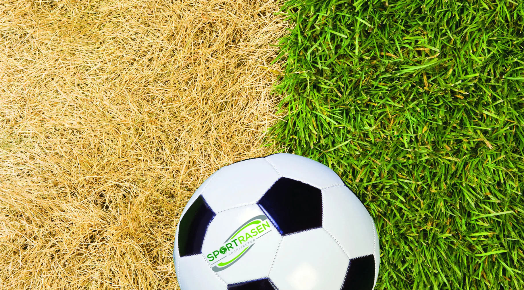 Sommer-Stress im Frühjahr