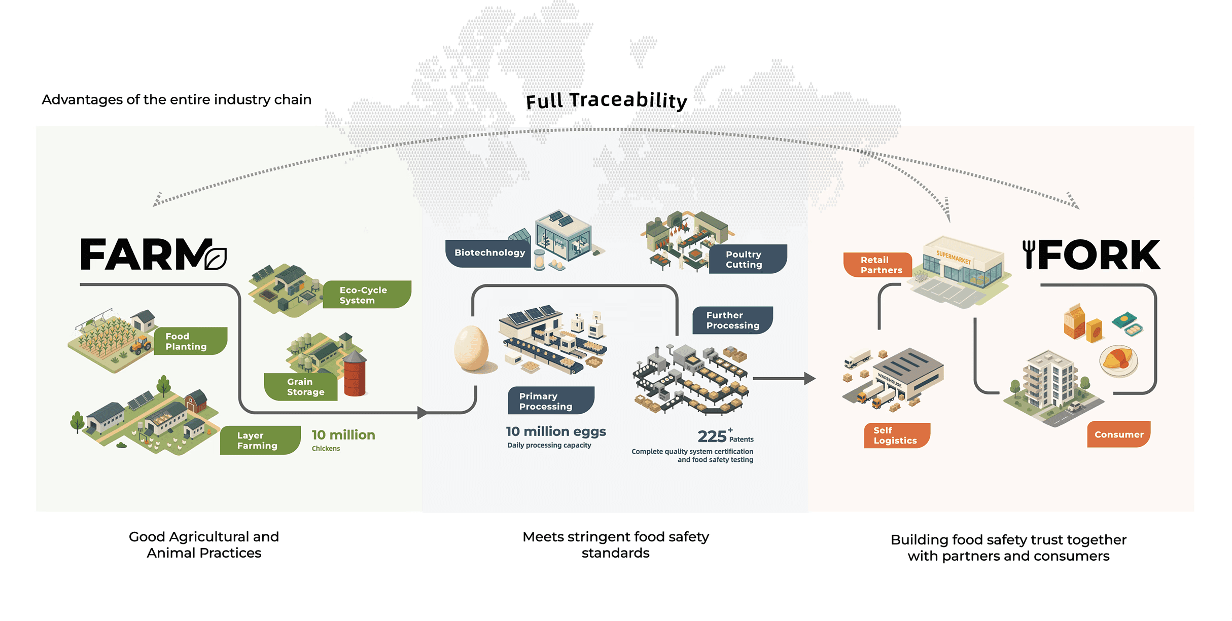 Jinyi: Full Industry Chain