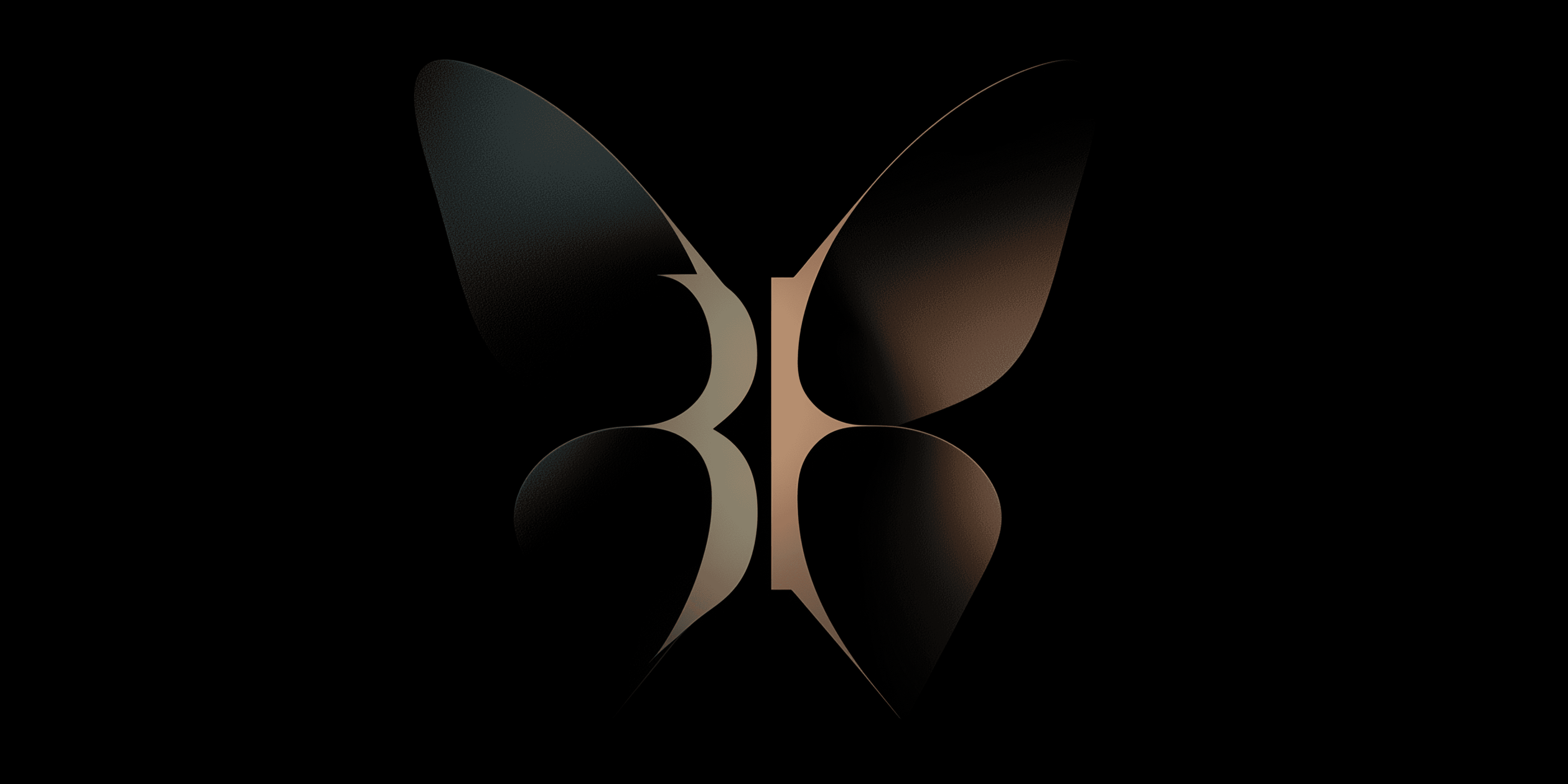 Project Details Button Full Image