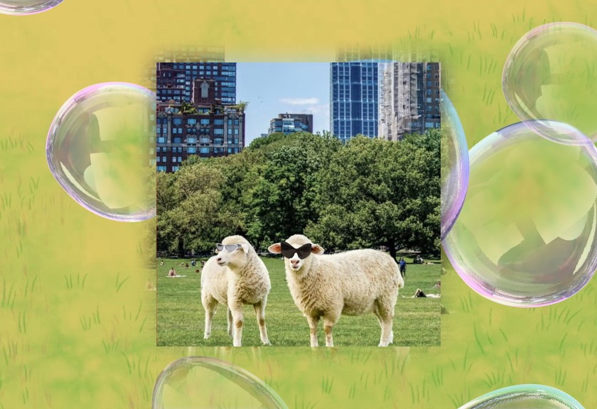 Whimsical baby shower invite with soft blush tones and a baby photo collage framed in floral elements.