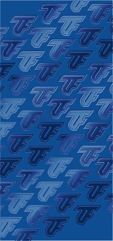 zf tech logo pattern as supporting elements