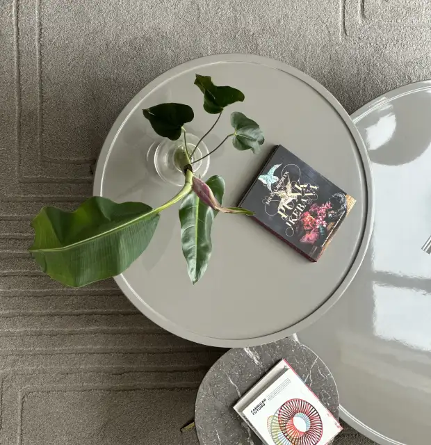 Vista superior de mesa auxiliar con planta y libro para marcas de interiorismo que comunican equilibrio entre lectura, naturaleza y diseño moderno.