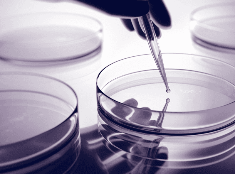 Petri Dish