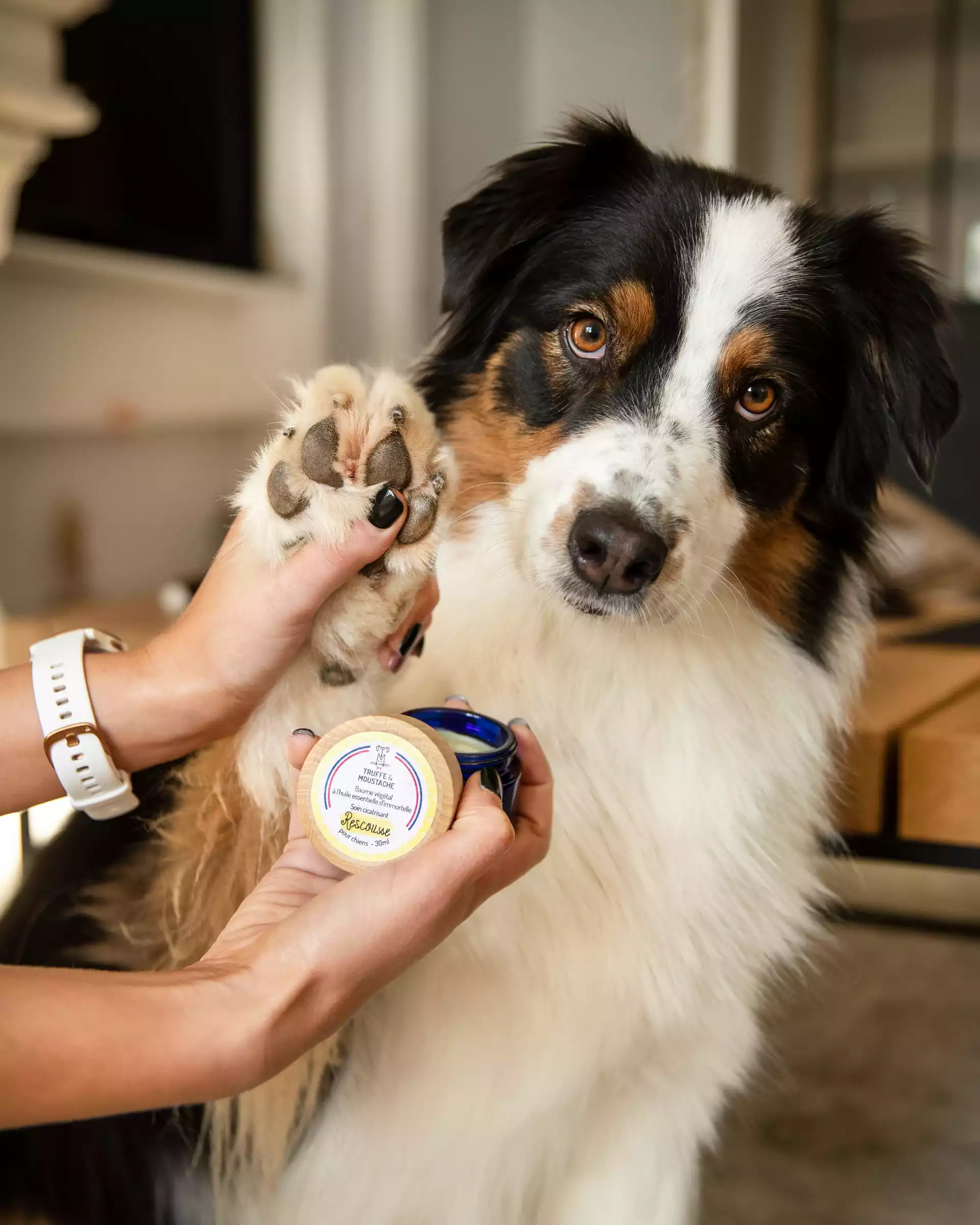 Packaging produit baume pour chien Truffe & Moustache, réalisé par Coralie De Almeida