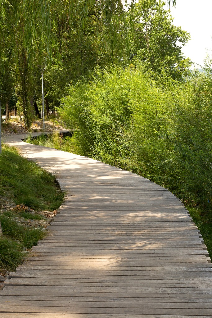 Passerella-in-legno-parco-Lugano (Canton Ticino) Galimberti-IMG_8503.jpg