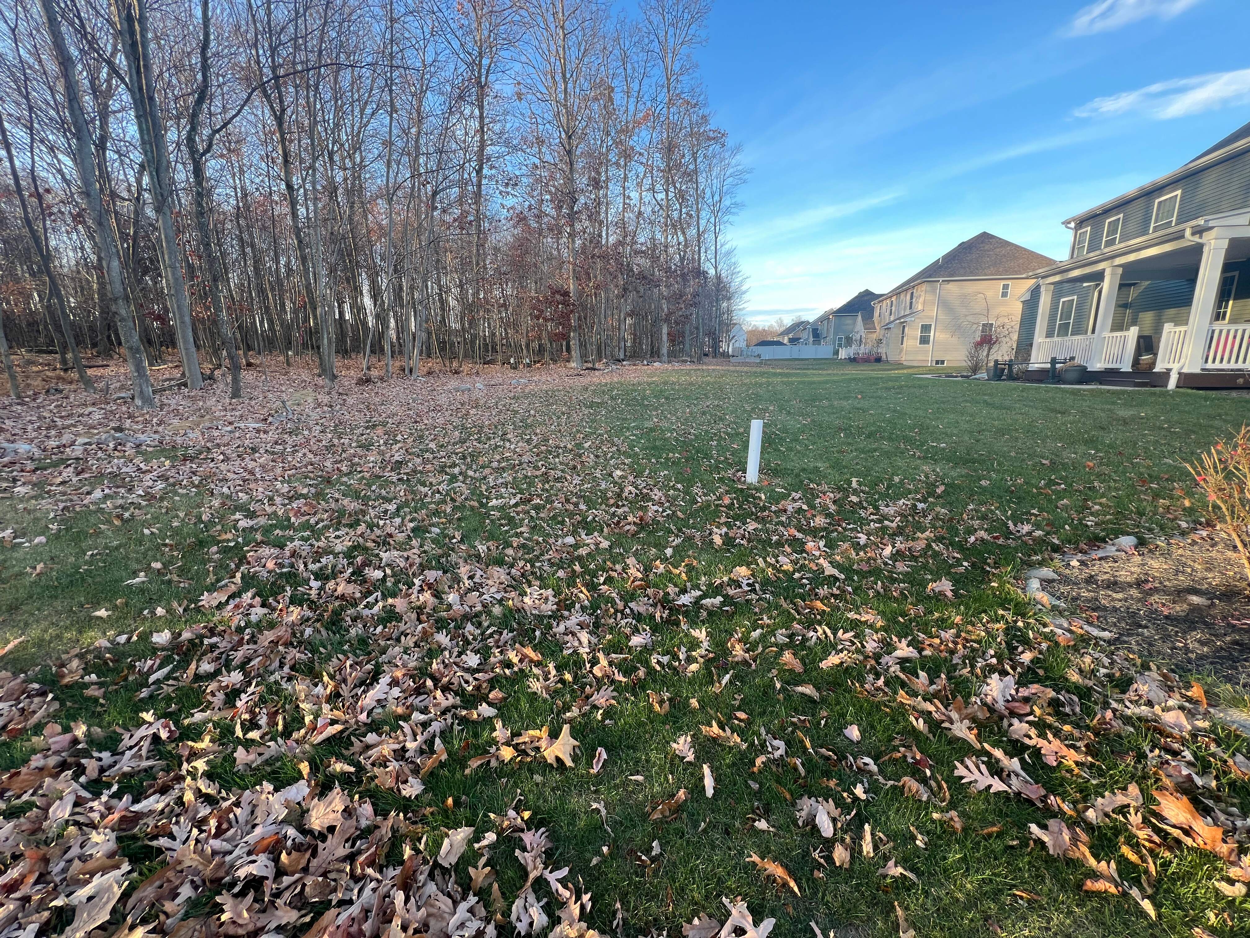 Image of a luxury home