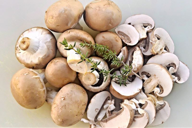 Champignon