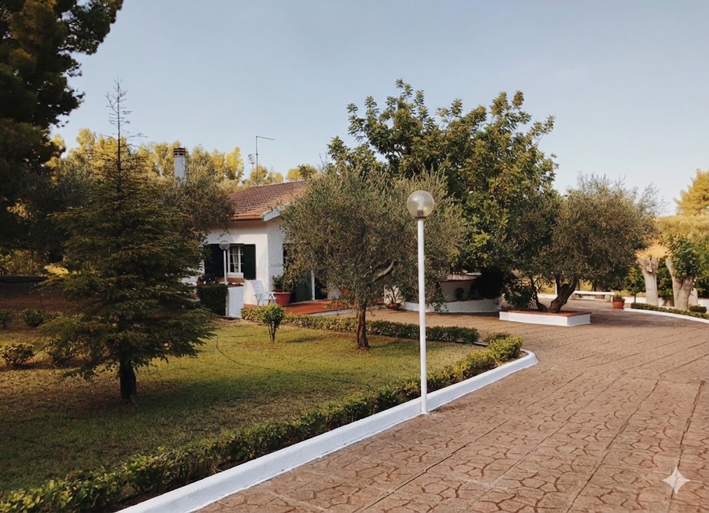 Modern shelves, purple sculptural table, and geometric desk