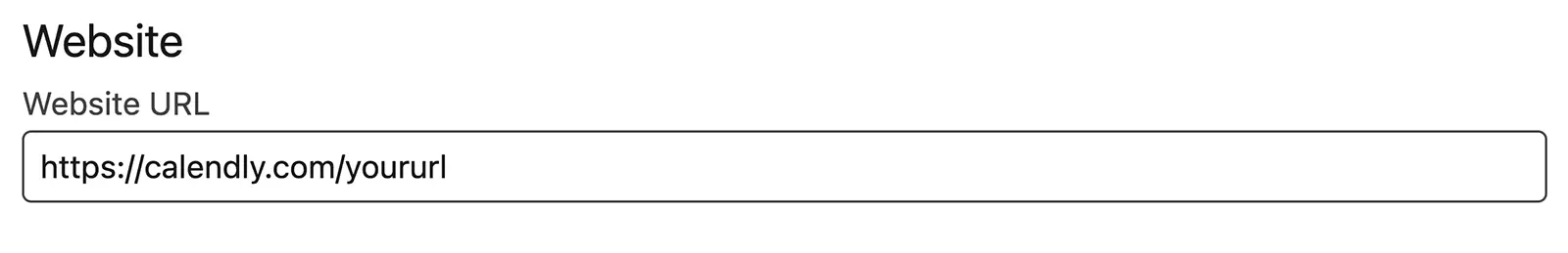 Screenshot to put a booking link in the Website URL field