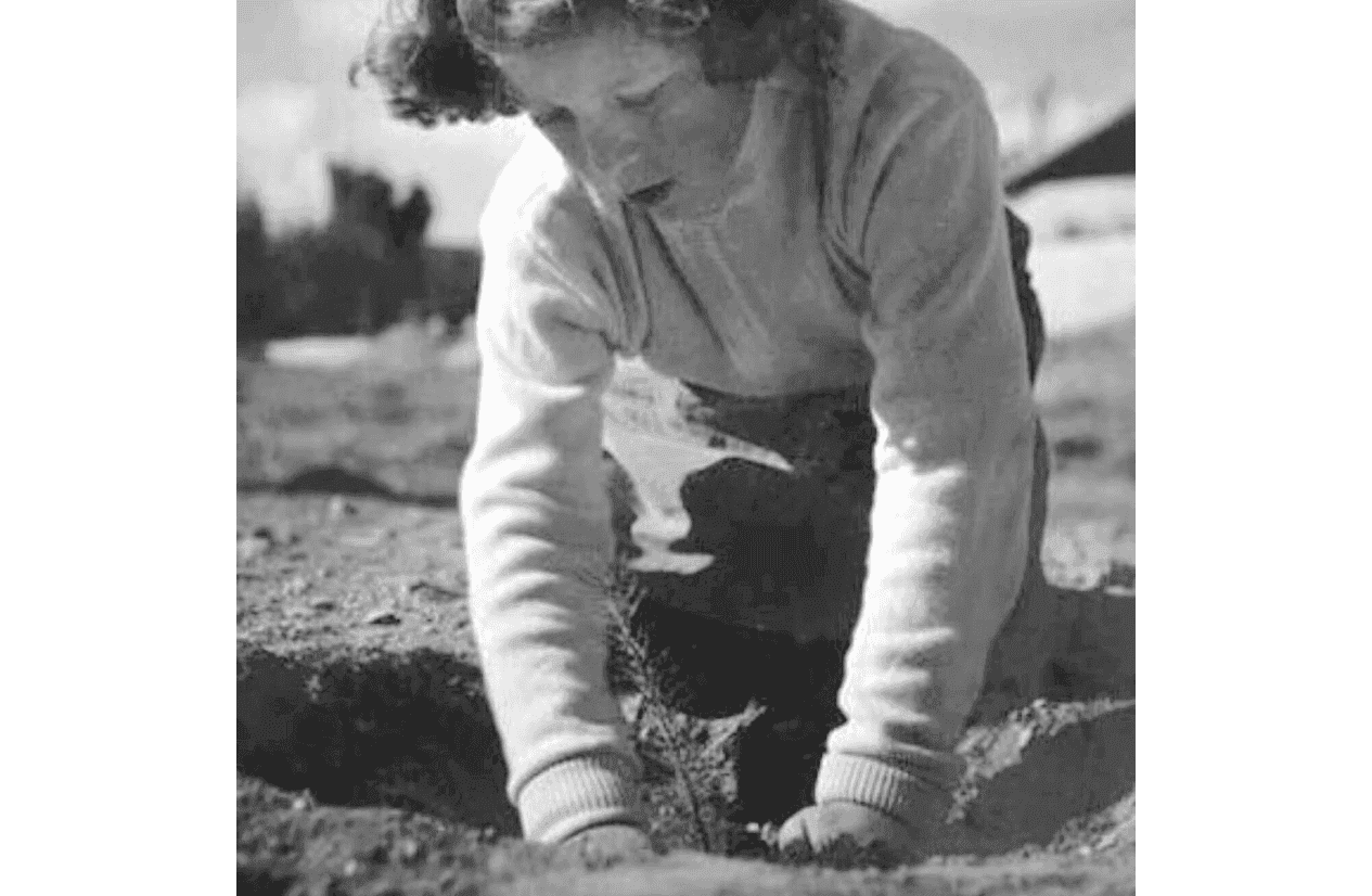 Girl Planting