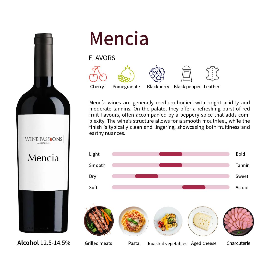 Mencia葡萄 Mencia酒 西班牙紅葡萄 Mencia風味特徵 Mencia產區 Bierzo酒 Ribeira Sacra葡萄酒 Mencia 混釀酒 Mencia釀造 西班牙葡萄酒 Mencia 酒莊 Mencia 葡萄歷史