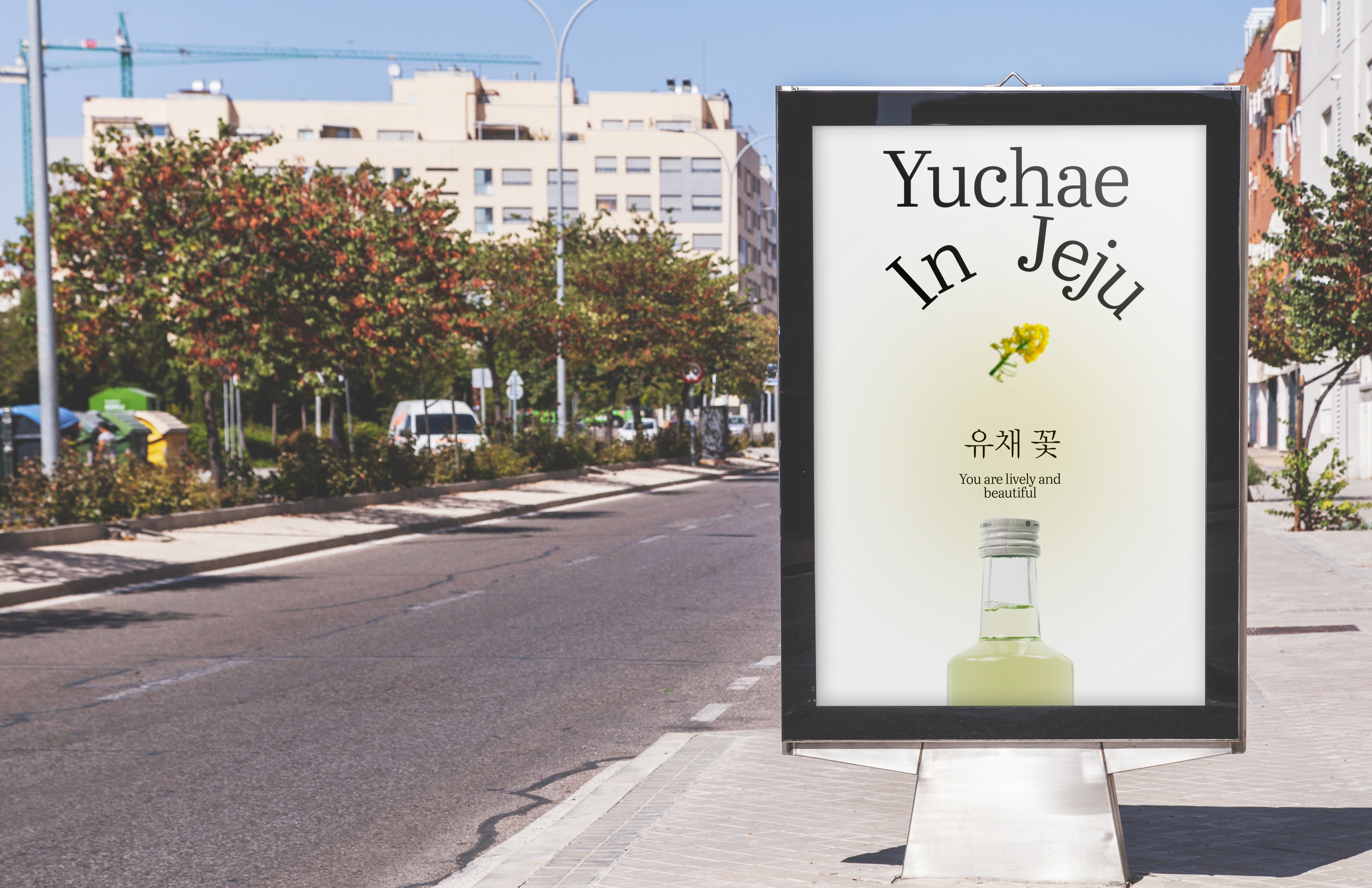 Large Project Gallery Image #1