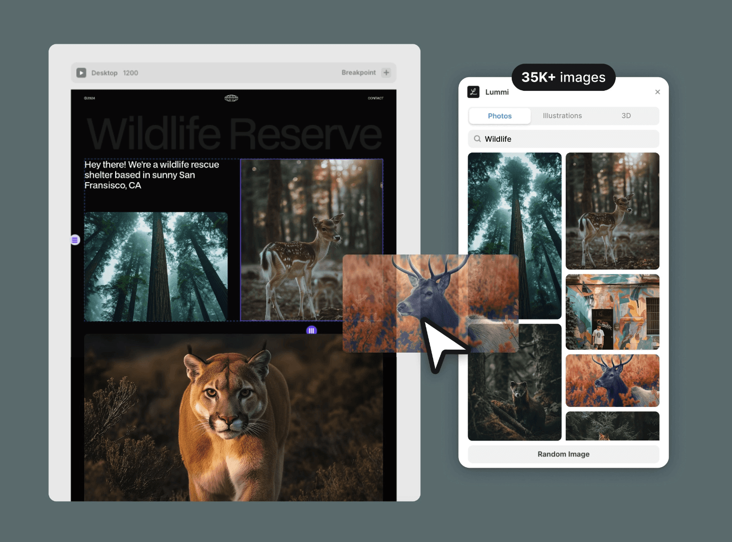 Lummi plugin interface in Framer showing a grid of diverse visual assets, including photos, illustrations, and 3D renders, ready for easy integration into designs.