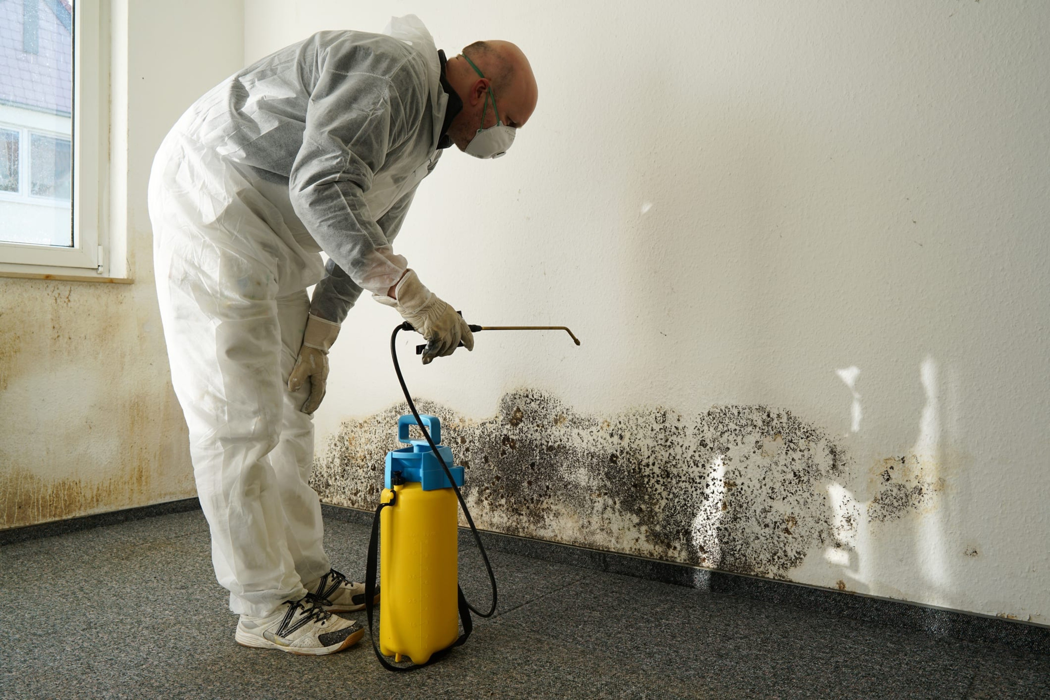 Breathe Easy: How to Detect and Prevent Mold in Your Home!