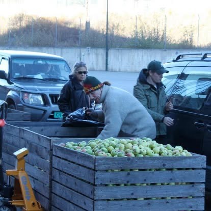Kundebilde fra eplehøsten