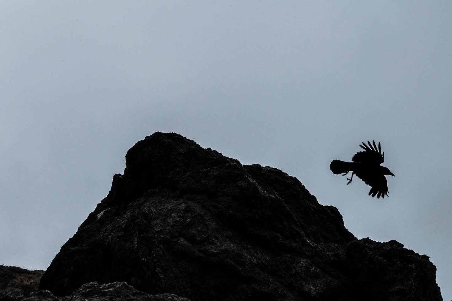 spring 2024. unknown sony philadelphia, pa.