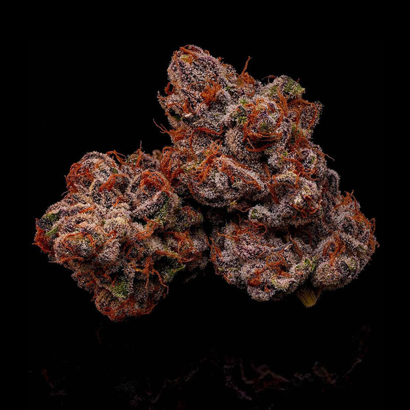 Gass Puffs - Cult Classics Seeds