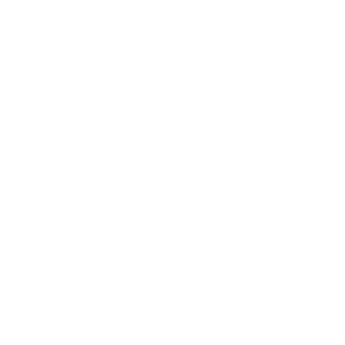 word press