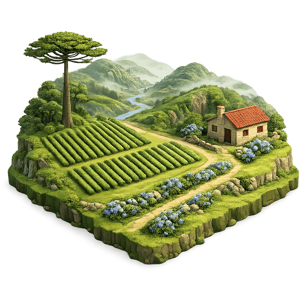 Artistic illustration of the Serra Gaúcha wine region.