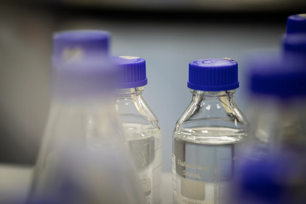 Close-up of blue-capped Fisherbrand 500 ml glass reagent bottles on a bench.