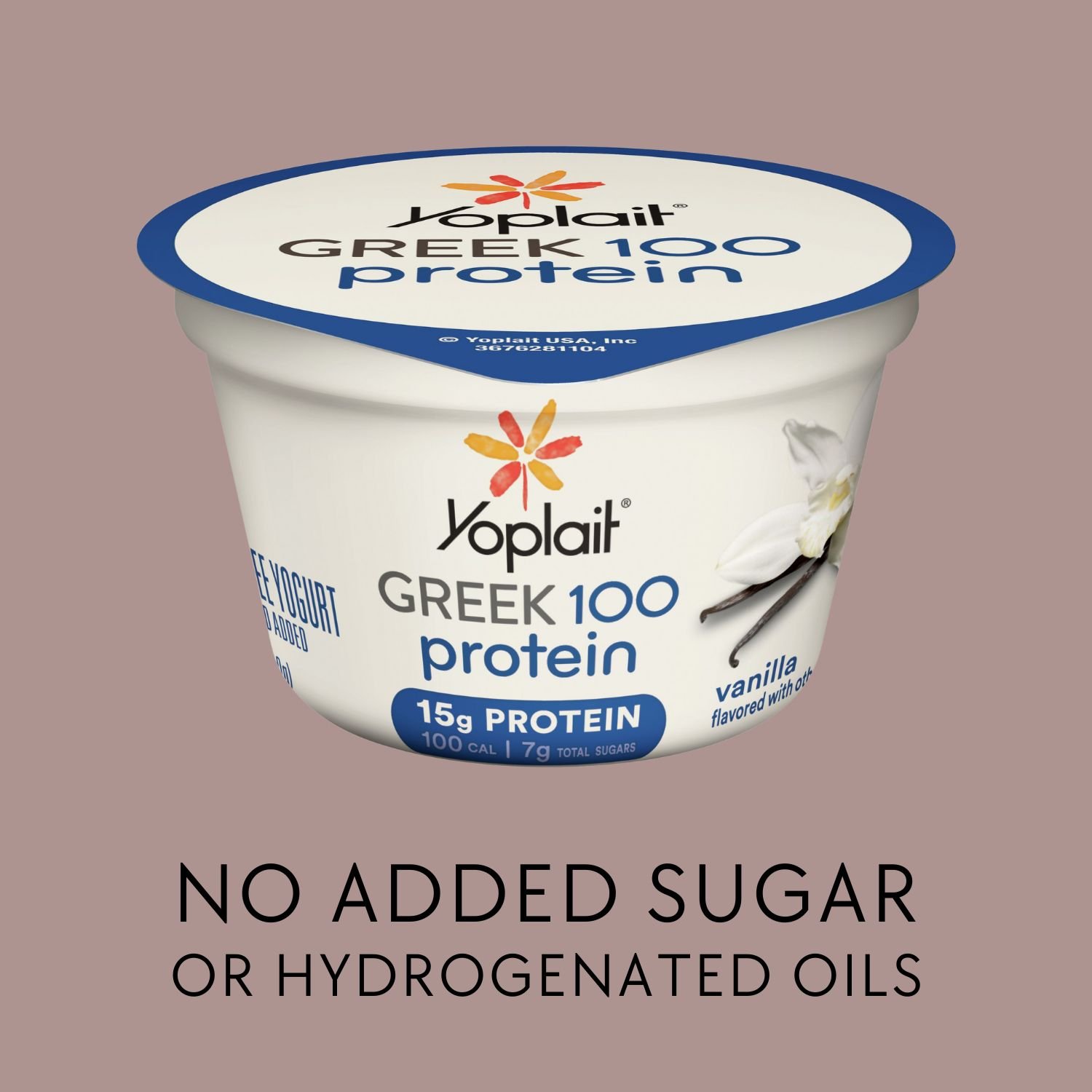 Yoplait - Greek yogurt - Bedtime Snack  - Malama Health.jpg