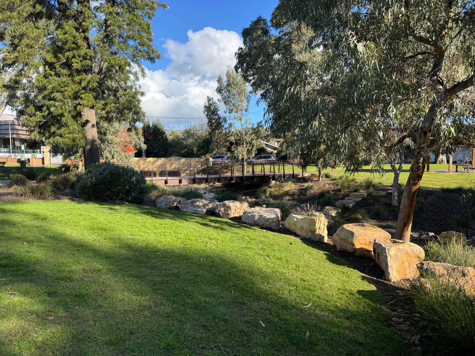 man beside dog walking in pathway surrounded by trees