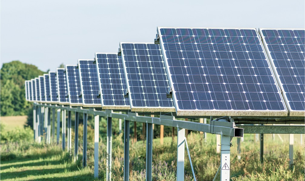 solar panels in the yard