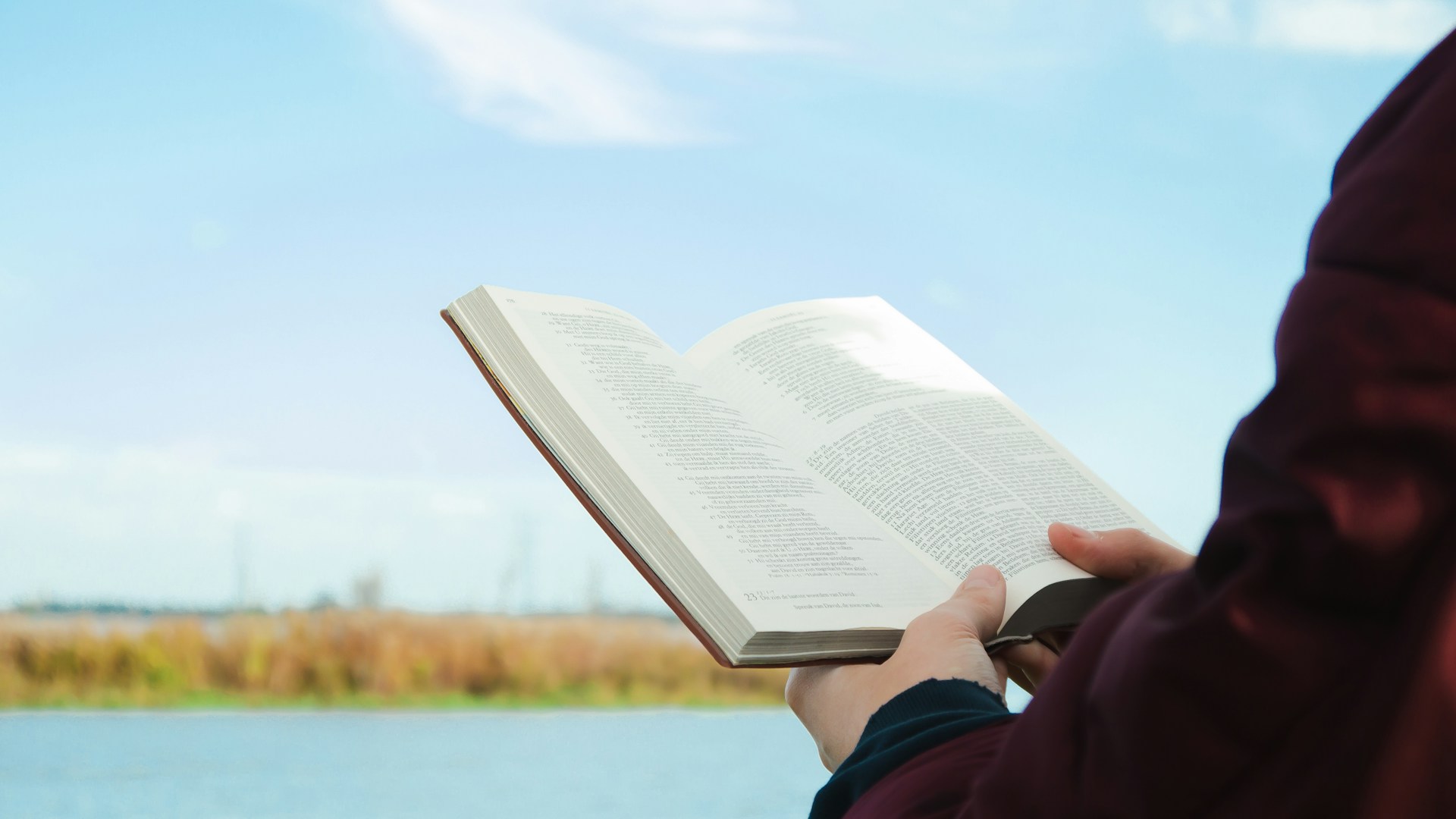 person reading the Bible