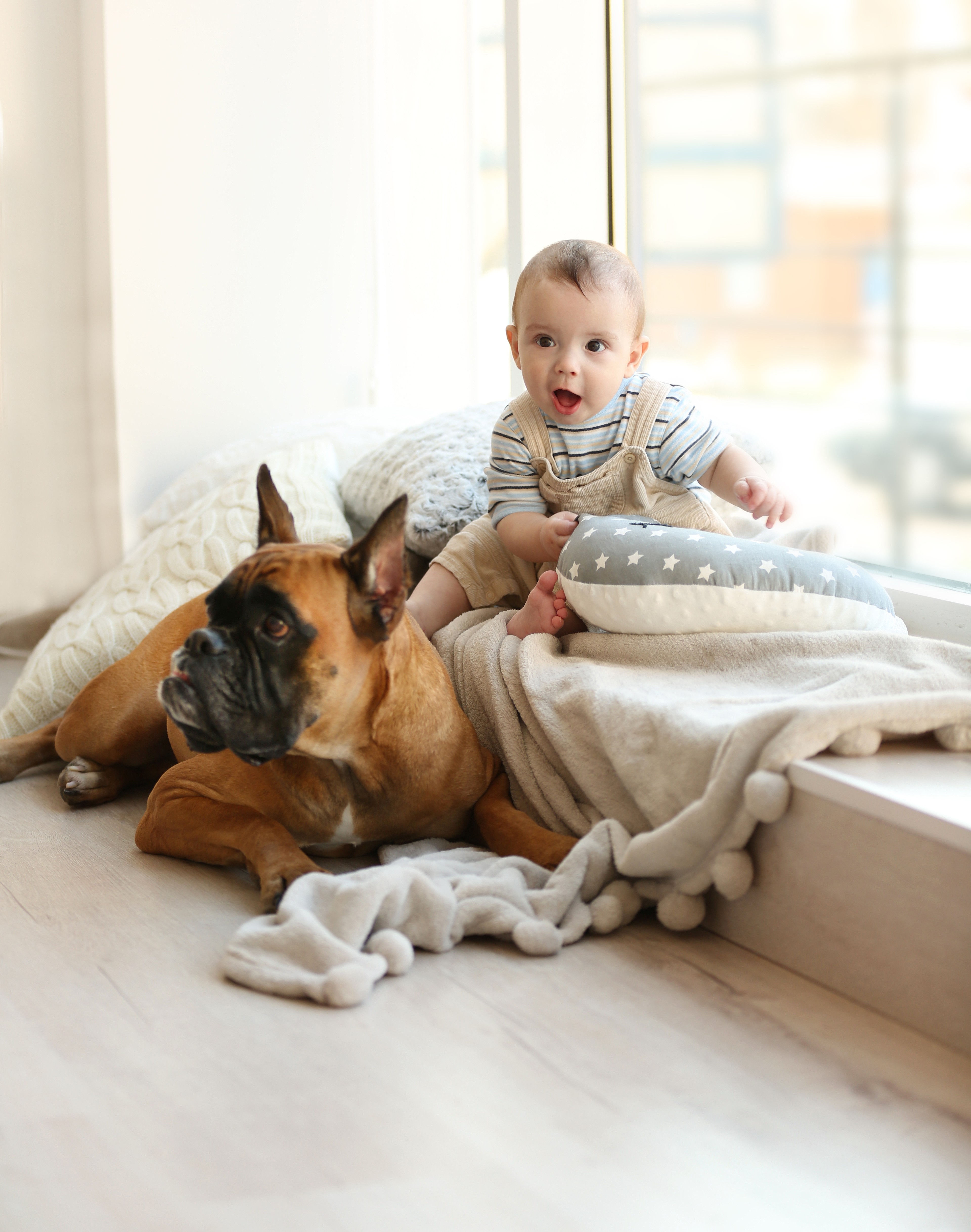 Baby and dog relaxing on warm, hypoallergenic LUXO flooring, designed for pet-friendly Australian homes.